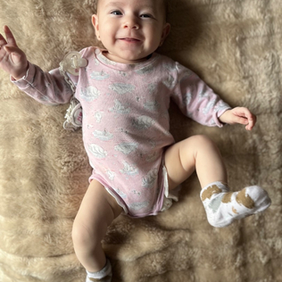 Delfina2026