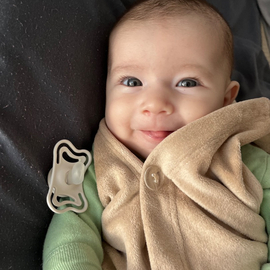 Delfina2026