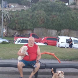 williconi