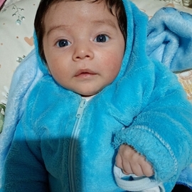 Dominic26