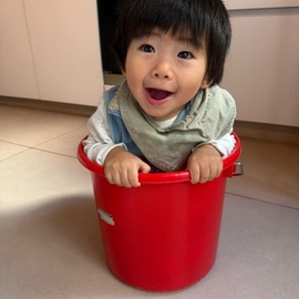 sophieho1