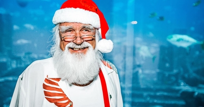 Casting hombre mayores de 50 años para hacer de Papá Noel en diciembre en la Zona Sur