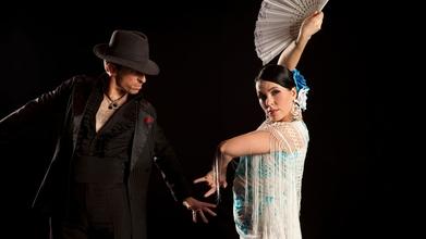 Casting bailarines de flamenco para proyecto en Buenos Aires